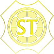 Stray228 Team