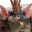 Rat King (Крысиный король)