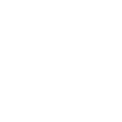 Crow Familiar (Ворон-фамильяр)
