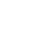 Death Slam (Смертельный бросок)