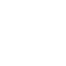 Flog (Порка)