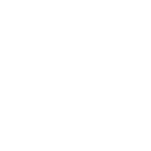 Fire Scarabs