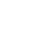 Shining Wonder (Shining Wonder)