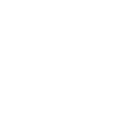 Flight (Полёт)