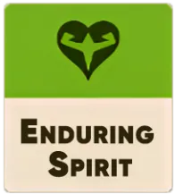 Enduring Spirit (Спиритическая стойкость) предмет в Deadlock